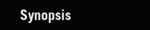 Synopsis