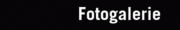 Fotogalerie